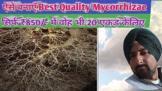 Best Bio fertilizer Mycorrhiza Make it at Home for 20 acre in ₹ 850 only [upl. by Messab]