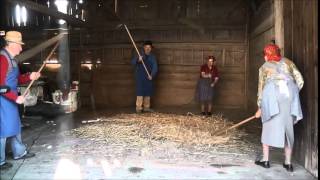 Threshing with hand flails – two pairs [upl. by Callery]