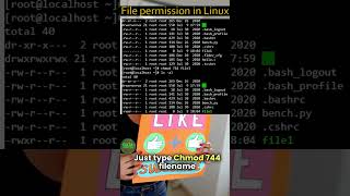 Mastering File Permissions in Linux chmod in Hindi  Linux Unix shorts [upl. by Forelli698]