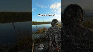 Duck hunting wigeon down fyp viralvideo shorts subscribe duck hunting duckhunting [upl. by Ellen]