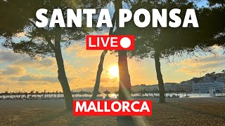 🔴 Live in Santa Ponsa Mallorca Majorca It’s a HOT one 🥵  28 July 2024 [upl. by Genny]