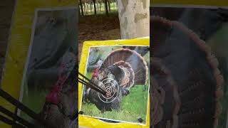 M128 Compound Bow and Arrows kit arrow bowhunting ameyxgs [upl. by Onder]