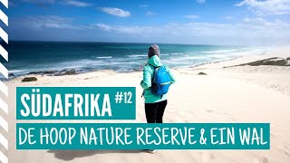 Südafrika Rundreise  Ausflug zum De Hoop Nature Reserve [upl. by Finley]