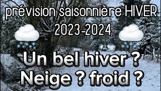 Prévisions Saisonnière Hiver 20232024  Neige  Froid  À quoi s’attendre [upl. by Eyma767]