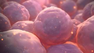 Stem Cell Animation [upl. by Harrus]