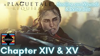 A Plague Tale Requiem Chapter 14 amp 15 LETS PLAY by Gekkou [upl. by Rosie350]