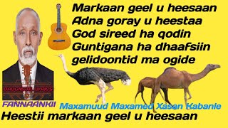 kabanle  maxamuud m xasan kabanle heestii Markaan geel U heesaan  maxamed yare  maxamuud kabanle [upl. by Yardna]