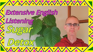 Episode 334 Sugar Detox extensiveEnglish [upl. by Aylsworth]