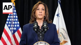 Kamala Harris says killing of Hamas Yahya Sinwar gives opportunity to end the war in Gaza [upl. by Aikim]