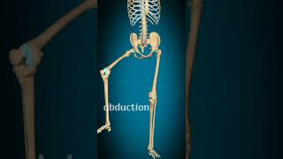 abduction and adduction of hip jointphysiorehab drsamia [upl. by Alyl]