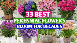 33 Perennial Flowers that Bloom For Decades  Long Flower Bloom Perennial  Plant and Planting [upl. by Annaek]