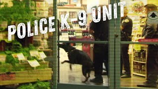 POLICE K9 HUNTS LATE NIGHT SUPERMARKET BURGLARS [upl. by Ritchie742]