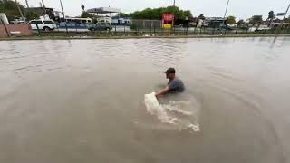 Tazo dorado se divierte en el agua de las inundaciones en Matamoros 5Oct24 [upl. by Htaek]