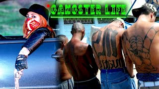 DOCUMENTAIRE GUERRE DE GANG ET ORGANISATION CRIMINELLE AU USA [upl. by Narag]