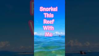 The Great BarrierReef beach travel island greatbarrierreef whitsundays snorkeling [upl. by Berlinda]