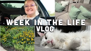 SONOGRAPHER WEEKLY VLOG NEW HOME DECORTRYING NEW BEAUTY PRODUCTS [upl. by Sunny66]