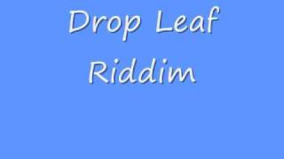 Drop Leaf Riddim [upl. by Averir]