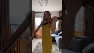 Edith Whiskers  Home  Violin Cover [upl. by Lilyan61]