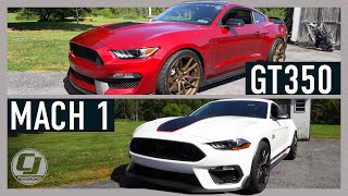 MACH 1 VS GT350Complete Comparison wTest Drives [upl. by Minni]