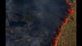 LAmazonie brûle et inquiète le monde [upl. by Arrahs474]