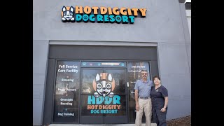 Introducing Hot Diggity Dog Resort The Ultimate Dog Pampering Experience [upl. by Gipsy]