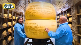 AMAZING Parmesan Cheese Production Discover The Largest Parmesan Factory [upl. by Awad]