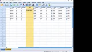 Introduction to SPSS in Urdu [upl. by Yodlem413]