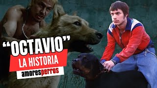 La HISTORIA de quotOCTAVIOquot  AMORES PERROS [upl. by Eardna799]