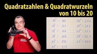 Quadratzahlen und Quadratwurzeln von 10 bis 20 zum Auswendiglernen und Nachsprechen  Lehrerschmidt [upl. by Mateya]