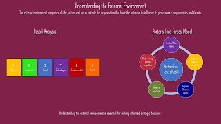 External Environment Analysis In Strategic Management [upl. by Alita]