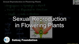 Sexual Reproduction in Flowering Plants Biology Lecture  Sabaqpk [upl. by Ahmad272]