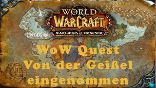 WoW Quest Von der Geißel eingenommen [upl. by Boorer]