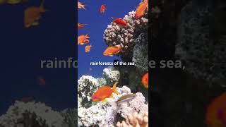 quotMysteries of the Deep Fascinating Ocean Facts About DeepSea Creatures Coral Reefs quot shorts [upl. by Eniledam]