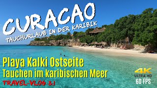 Tauchen auf CURACAO  Playa Kalki Ostseite quotTauchen in der Karibikquot 4K60 FPS 🦐 Westpunt [upl. by Eelaras302]