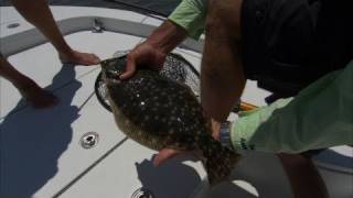 St Augustine Florida Fishing for Cobia Redfish and Flounder [upl. by Nnylkoorb]