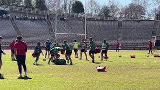 Lions preparing for Currie Cup match vs Western Province [upl. by Renferd]