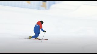 PSIA Telemark Team Technical Demos at Interski 2023 [upl. by Aivartal]