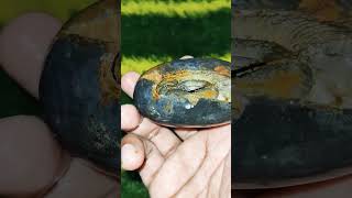 vasudevan vasudevkrishna shortsvideo stone shaligramshila crystals tranding [upl. by Nerissa58]