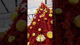 Sparkle and Shine this Holiday Season at Pacific Mall NSPPitampura [upl. by Ahset]