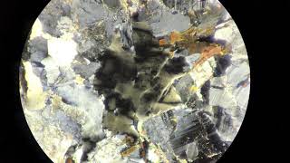 Petrology Thin Section Undulose Quartz in Granite [upl. by Ityak]