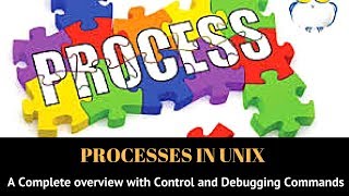 Unix Processes  A Complete Overview with Examples Tutorial 13 [upl. by Llewkcor202]