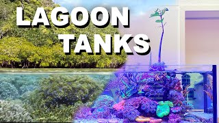 Lagoon Aquarium  Shallow Reef [upl. by Sabba]