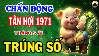 HÉ LỘ CHUẨN NHẤT Vận Số TÂN HỢI 1971 TRÚNG SỐ ĐỔI ĐỜI Tiền Về Ầm Ầm Ngồi Chơi CŨNG GIÀU Tháng 5 ÂL [upl. by Layton]