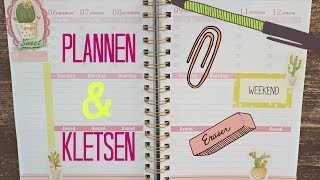 Plannen amp Kletsen  Cactus amp Roze  EliseDingen [upl. by Breeze]