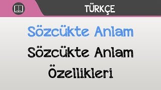 Sözcükte Anlam  Sözcükte Anlam Özellikleri [upl. by Costello]