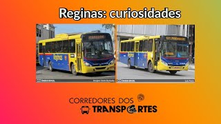 Auto Viação Reginas Histórias curiosidades [upl. by Markos]