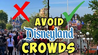 Least Crowded Times to Visit Disneyland When to Visit in 2024 [upl. by Hillinck]