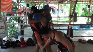 Tiger Muay Thai Techniques both hands inside clinch bump standing leg and throw opponent [upl. by Nylazor444]