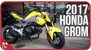 2017 Honda Grom  First Ride [upl. by Willett]