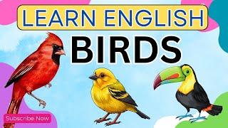 BIRDS Vocabulary ll 50 BIRDS names In English With Pictures englishvocabulary birdsnameinenglish [upl. by Galer]